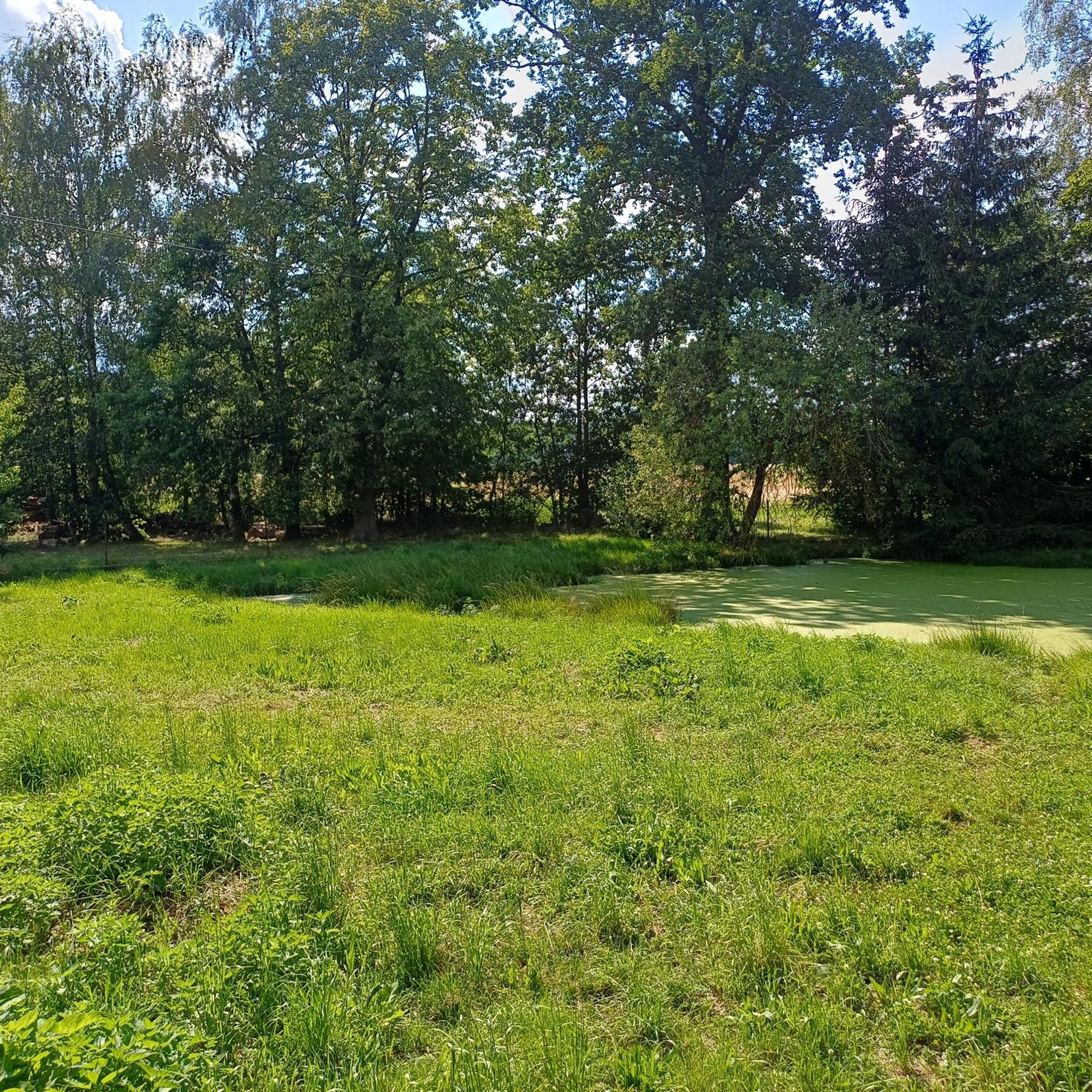 Statek U Spulaka Lomnice nad Luznici Exterior foto